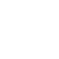 Maritime Robotics