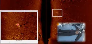 Pulsar