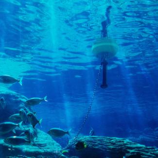 ADCP Buoy