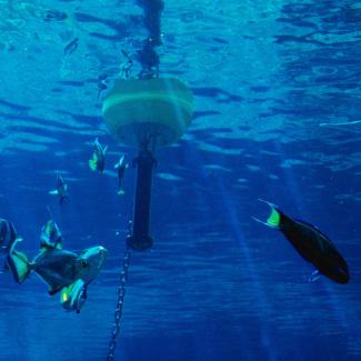 ADCP Buoy