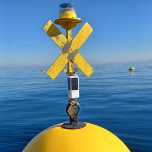 Wave module